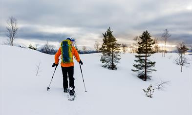 Snowshoe Hiking with Norway Mountain Guides