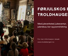 Førjulskos på Troldhaugen