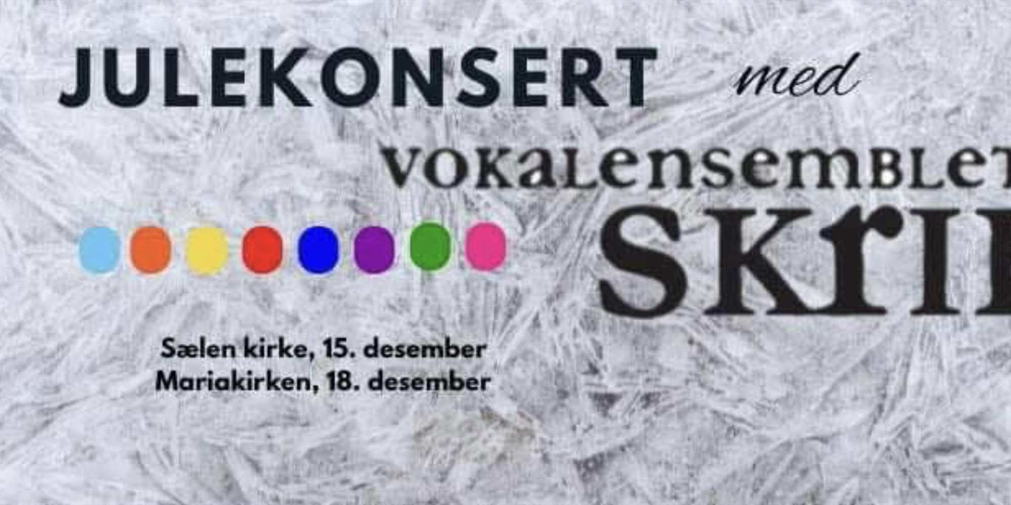 Julekonsert med Vokalensemblet Skrik-Mariakirken