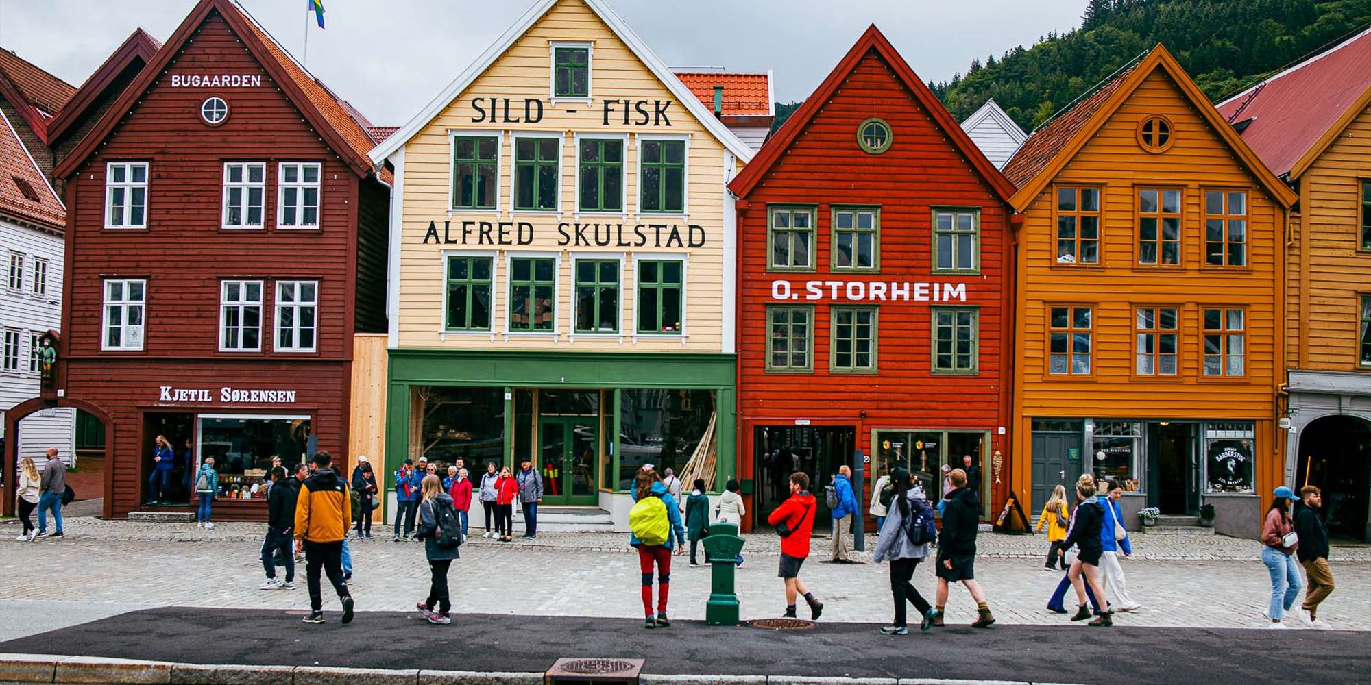 Fire ikoniske hus på Bryggen i Bergen, et UNESCO verdensarvsted.