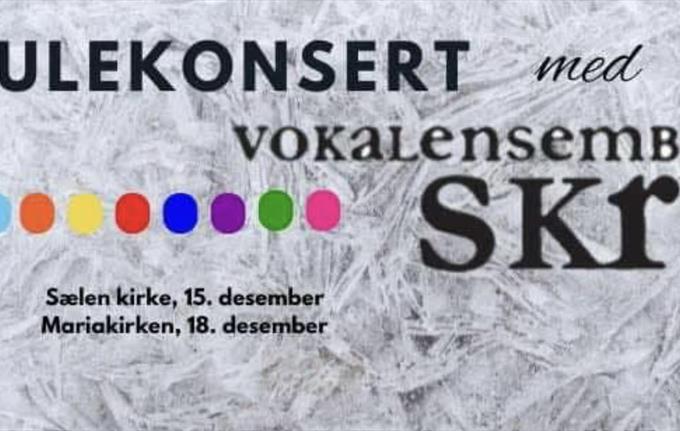 Julekonsert med Vokalensemblet Skrik-Sælen kirke