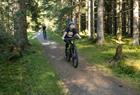 Guidet tur på E-Mountain bike i området rundt Voss