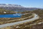 Veien over Hardangervidda